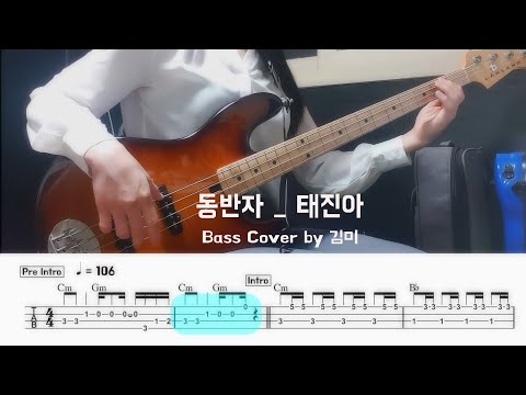 동반자 - 태진아