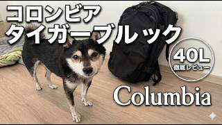 コロンビアの大型トラベルバックパックを購入、使用感レポ
