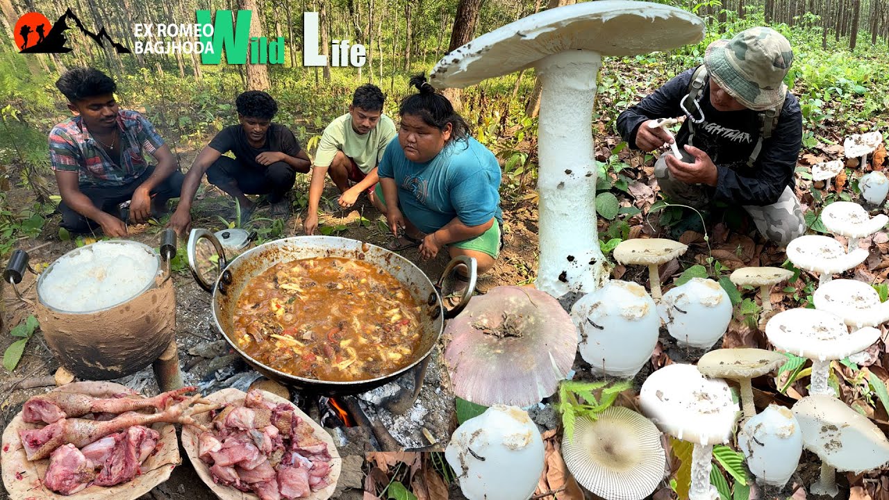 Wild Mushroom Live Hunting Cooking & Eating outdoor Cooking Skill Survival in mid Jungle KD is Back