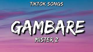 Gambare - Mister z [TikTok Songs] (audio) Resimi