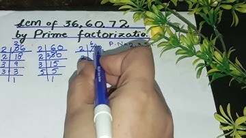 Lcm of 36 60 72 | 36 60 72 ka lcm | by prime factorization method | in Urdu/Hindi |
