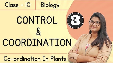 Control & Coordination || Control & Co-ordination In Plants || Class 10 || Boards 2022-23