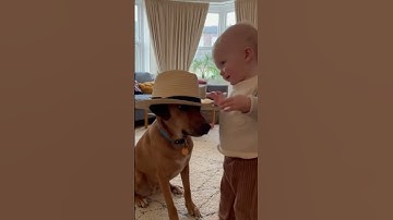 🤣👌👌👌2025 pov Must-Watch Crazy Clips Compilation #humor #fypシ #pov #fyp #foryou 😍😜