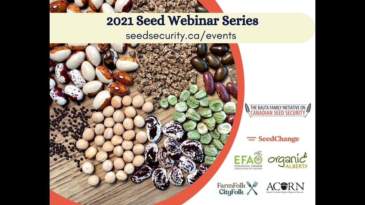 Legumes: Diversification, Crop Rotation and Seed Supply