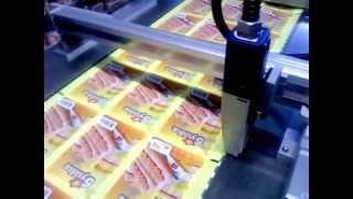 2 Axis robocylinder for InkJet Application