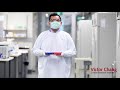 Coronavirus research in pictures  victor chang cardiac research institute