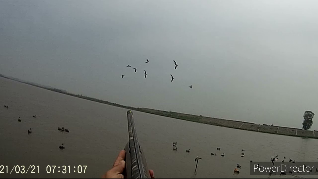 Duck Hunting in Pakistan 2021