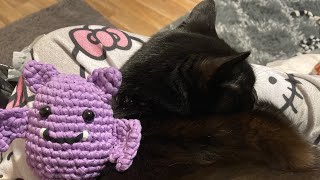 100 Days of Halloween 🎃 👻 Luna the Bat!! @yarnycat_crochet