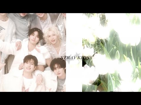 Stray Kids Playlist To Listen To Bc Its 2026 