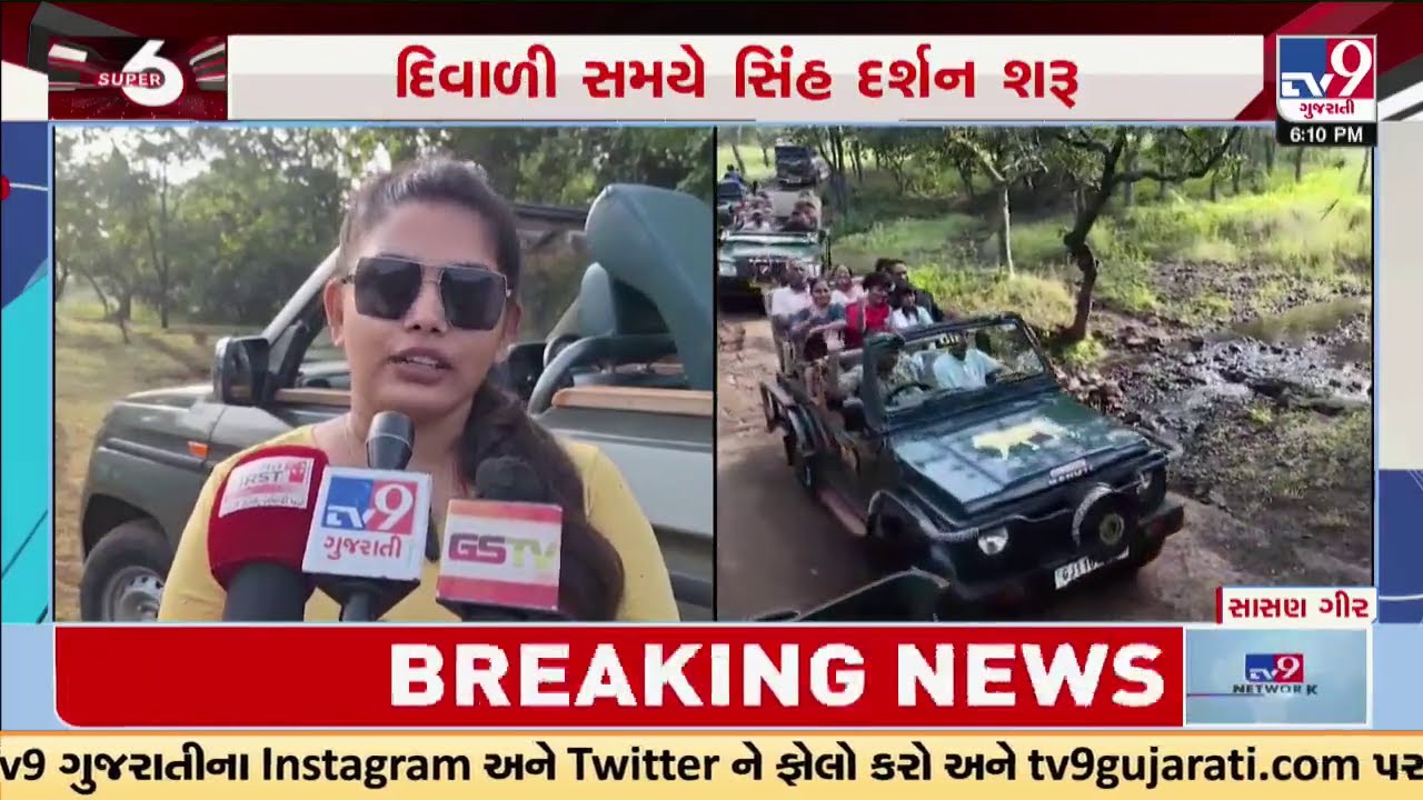 Gir Jungle Safari open for Tourists after 4 months hiatus | Sasan Gir | Asiatic Lion | TV9Gujarati