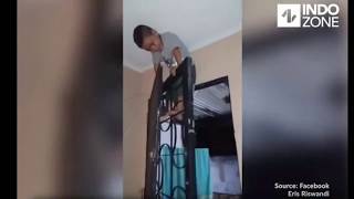 Download Lagu Video lucu bocah takut kecoa nyampe naik pintu!! Untung bukan kecoa terbang MP3