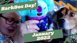 BarkBox Day January 2022! All Toys Box!