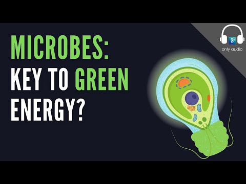 Microbes: Key to