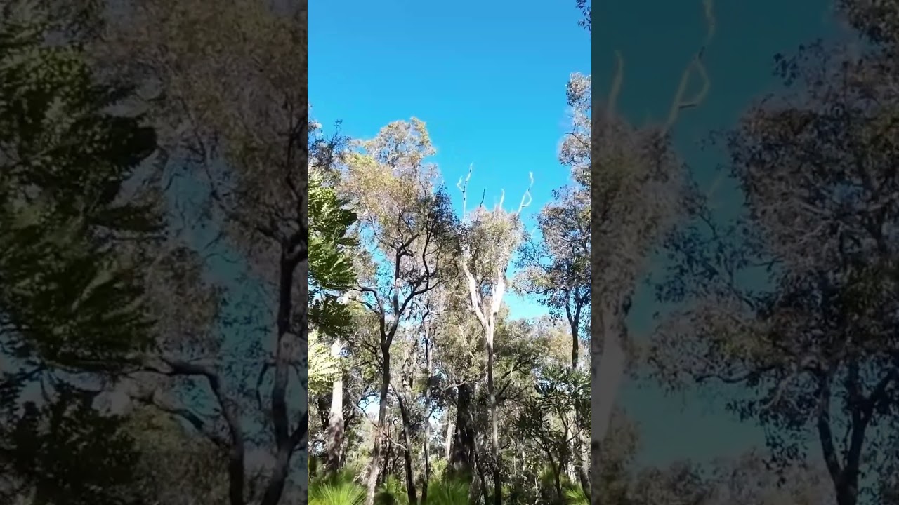 Western Australia Winter Walk 4