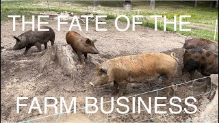 The Fate Of The Farm Business? Are We Failing?#pasturedpigs #eatmypork