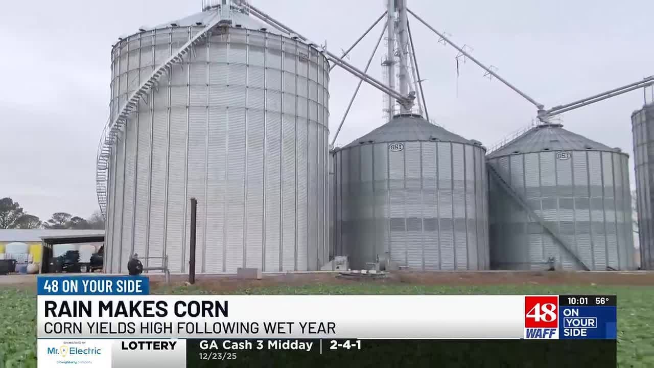 Farmer says perfect timing of rain produced high corn yields in 2025
