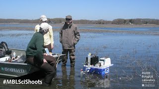 MBLSciShoots: Earth Day and Ecosystems