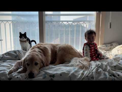 태생은 다르지만 우리는 삼형제ㅋㅋ