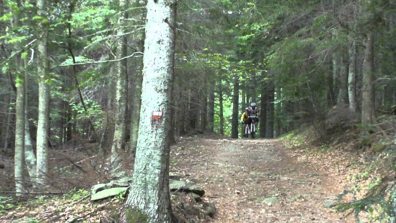 Sentieri MTB Abetone Val di Luce - YouTube