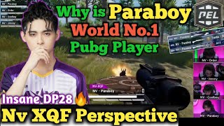 Nv XQF Paraboy Insane DP28 in Final Circle of PEL S3 • Nv XQF Perspective • #NvXqf Best Pubg Game