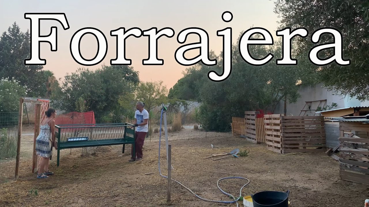 Forrajera para las ovejas. Ep96