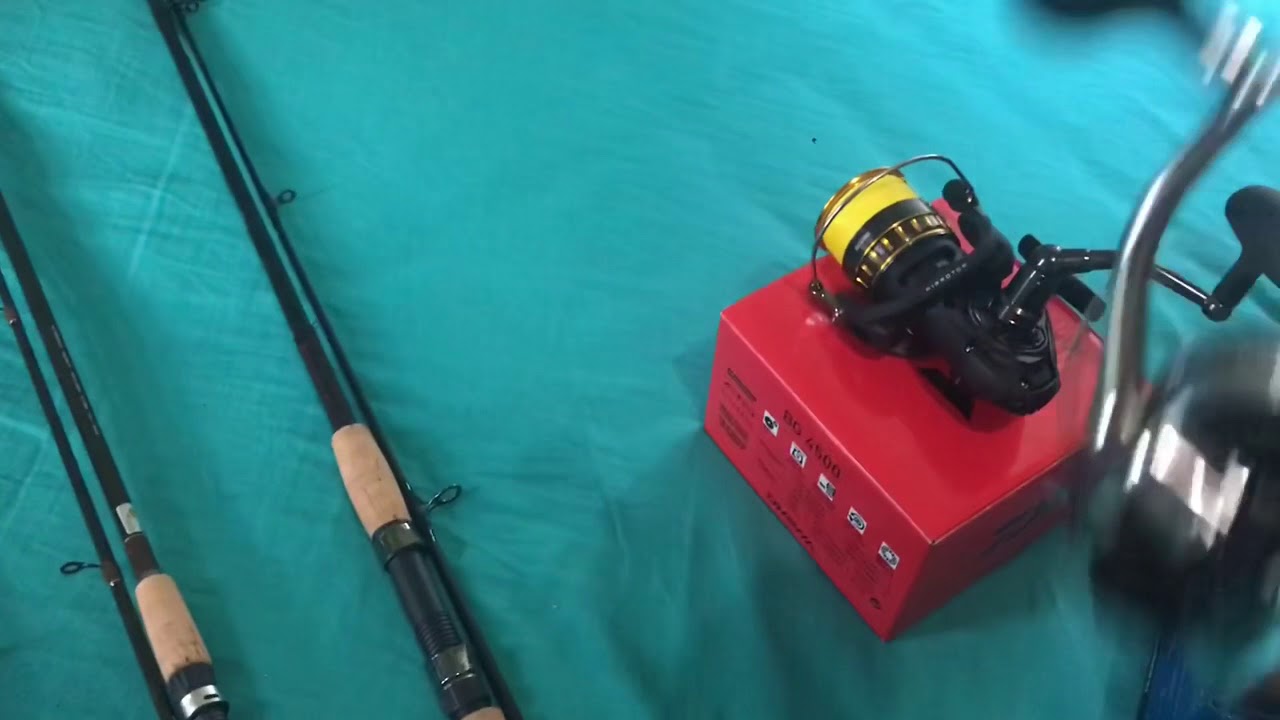 Inshore Saltwater fishing Gear Shimano Daiwa Tica YouTube