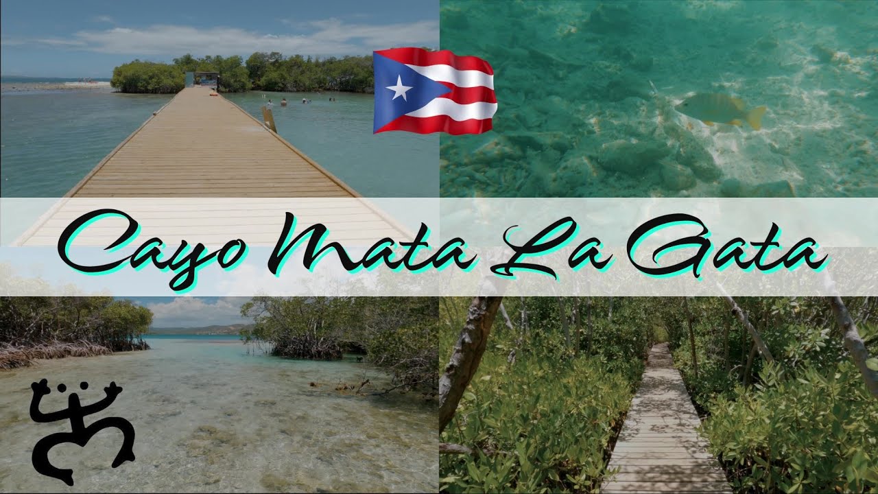 Cayo Mata La Gata | La Parguera | Lajas Puerto Rico