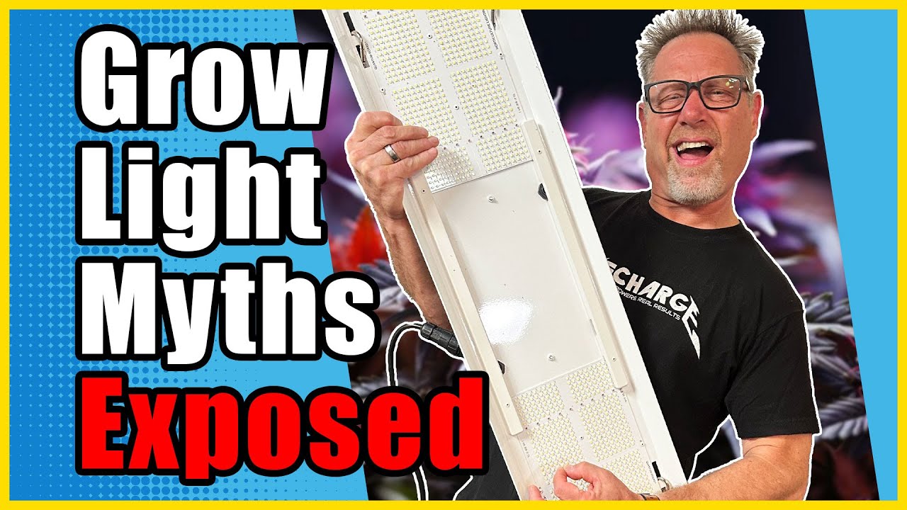 Game-Changing Grow Light Secrets Only Top Cannabis Growers Know
