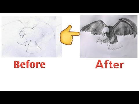 How to draw an Eagle | Easy to drawing | ( step by step) - YouTube