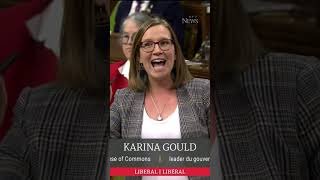 Liberals slam Conservatives for last week's marathon vote
