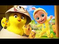 🐤🐥Los Pollitos Dicen Pio Pio - ¡Canciones Infantiles! LooLoo