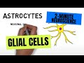 2minute neuroscience glial cells