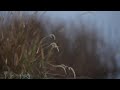 First Snow: Smith Lake