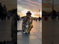 Street Musicians Dogs and a Cat play the piano and saxophone #dogs #saxophone #cat streetperformance