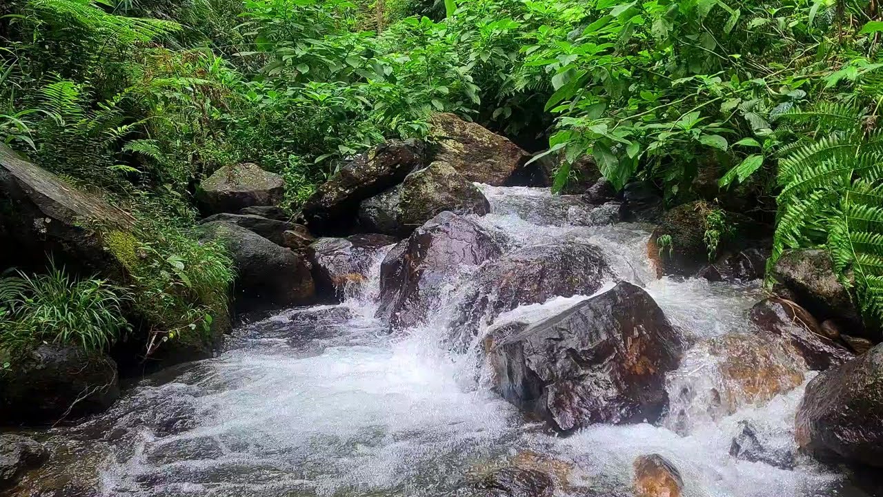 Soft River Flow Under Moonlight – ASMR Water Ambience for Calm, Deep Sleep
