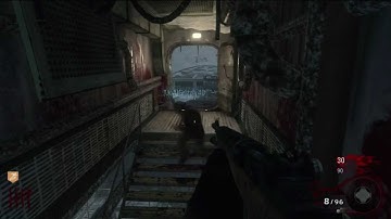 COD Black Ops Call of the Dead Glitch | Voice Tutorial