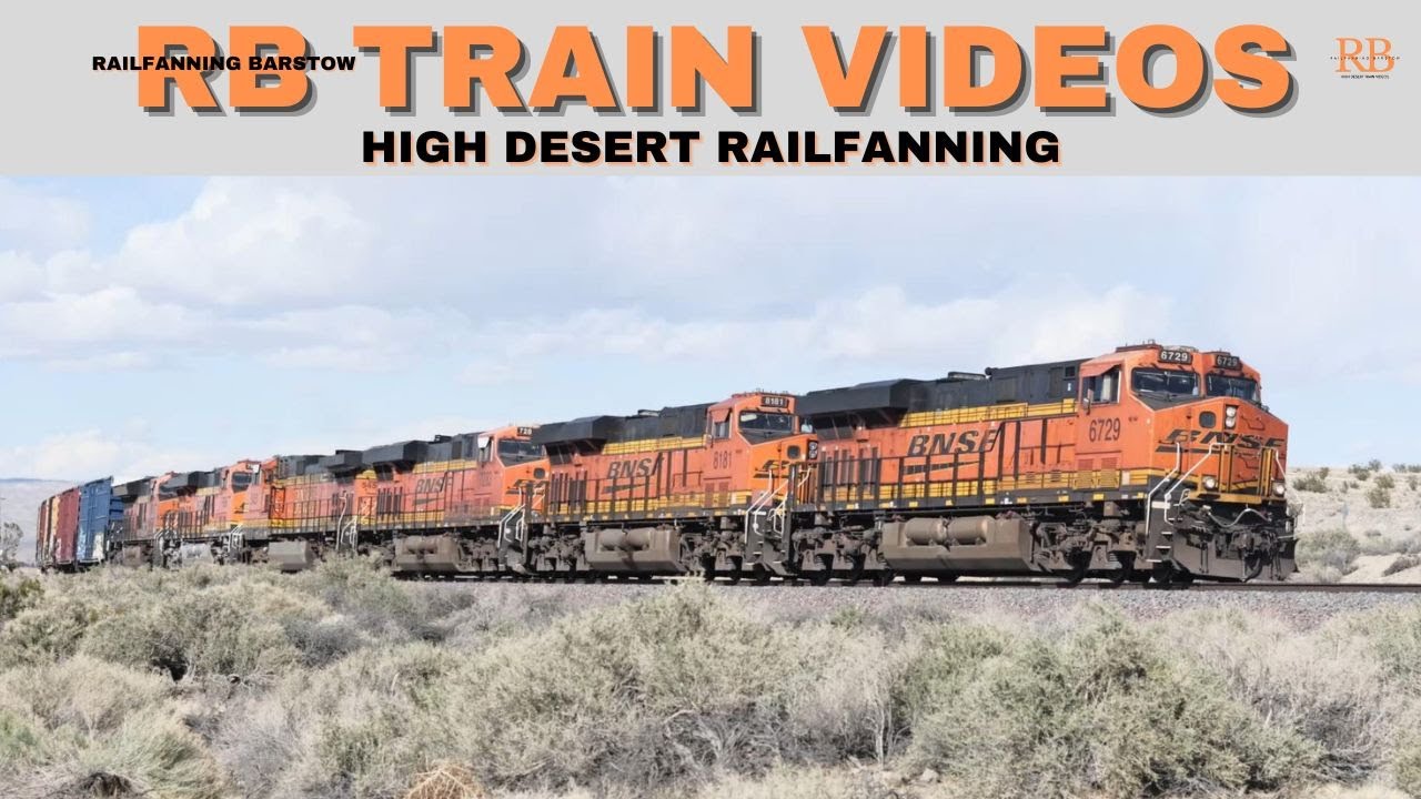 Exploring the AMAZING Variety of Trains in the Desert Environment