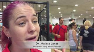 MEGA ADOPTION JUNE 2017