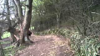 Cantering Bareback with No Hands:D