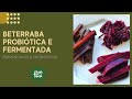 BETERRABA PROBIÓTICA E FERMENTADA, COMO FAZER - ALIMENTO FERMENTADO E PROBIÓTICO