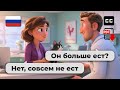 Russian Conversation Practice for Beginners – 🐾 At the Vet with Your Cat (free PDF)