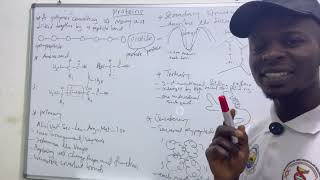 Biochemistry of Proteins: Understanding Primary to Quaternary Structures | Lecture by Bertrand