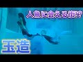 職業人魚？マーメイド達に逢いに玉造へ【水中アート】