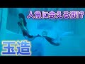 職業人魚？マーメイド達に逢いに玉造へ【水中アート】