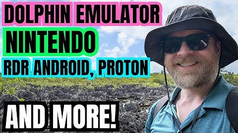 Big Update for Dolphin Emulator, Switch 2 Update Sabotaging 3rd Party Dock Compatibility...