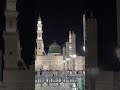 Jan Hazir ha Mustfa ke Liye #natt #allah #rasoolallah #beautiful #sky