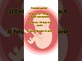 Stages of fetal development| #fetus #embryodevelopment #prenatalhealth #education #bscnursing