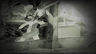 Mickeys Thanks A Bunch Day