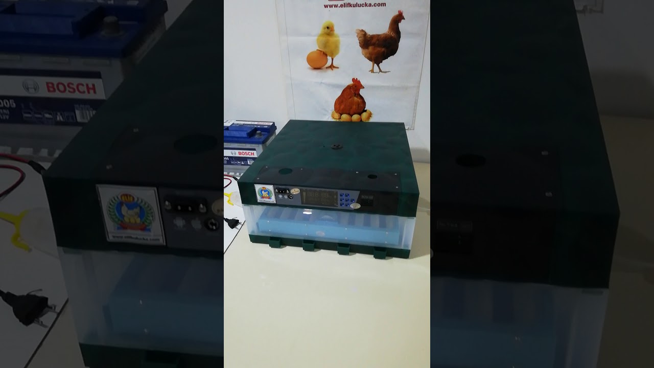 64 lu Full Otomatik Kulucka Makinası www.elifkulucka.com