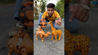 Rc Camel And Remote Control Giraffe Unboxing dise